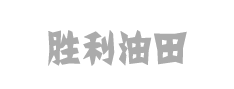 ��ʢ���݄�